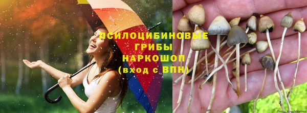 кокаин Богородицк