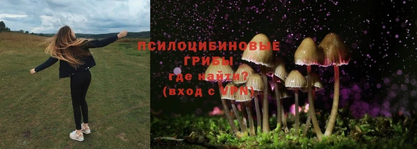 шишки Бородино