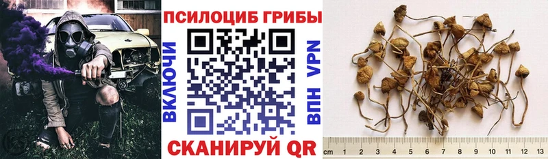 это официальный сайт  купить наркотики цена  Барыш  Псилоцибиновые грибы Magic Shrooms 